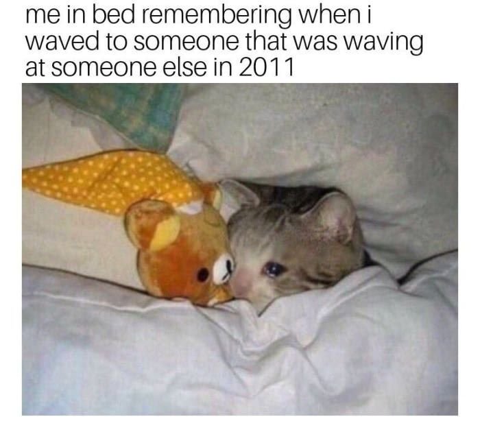 Кот в кроватке плачет