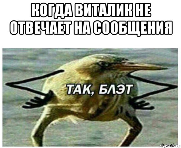 Птичка блэт