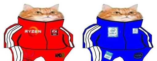 Котик Интел