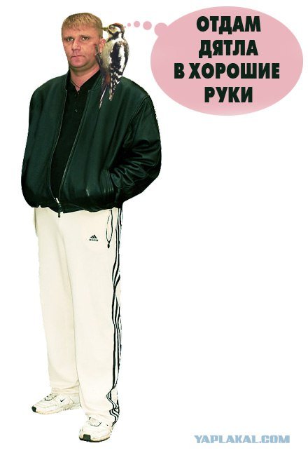 Мем свидетель из Фрязино оригинал