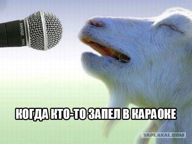 Смешной микрофон