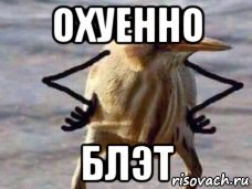 Птичка блэт