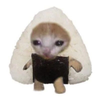 Кот в костюме банана Мем