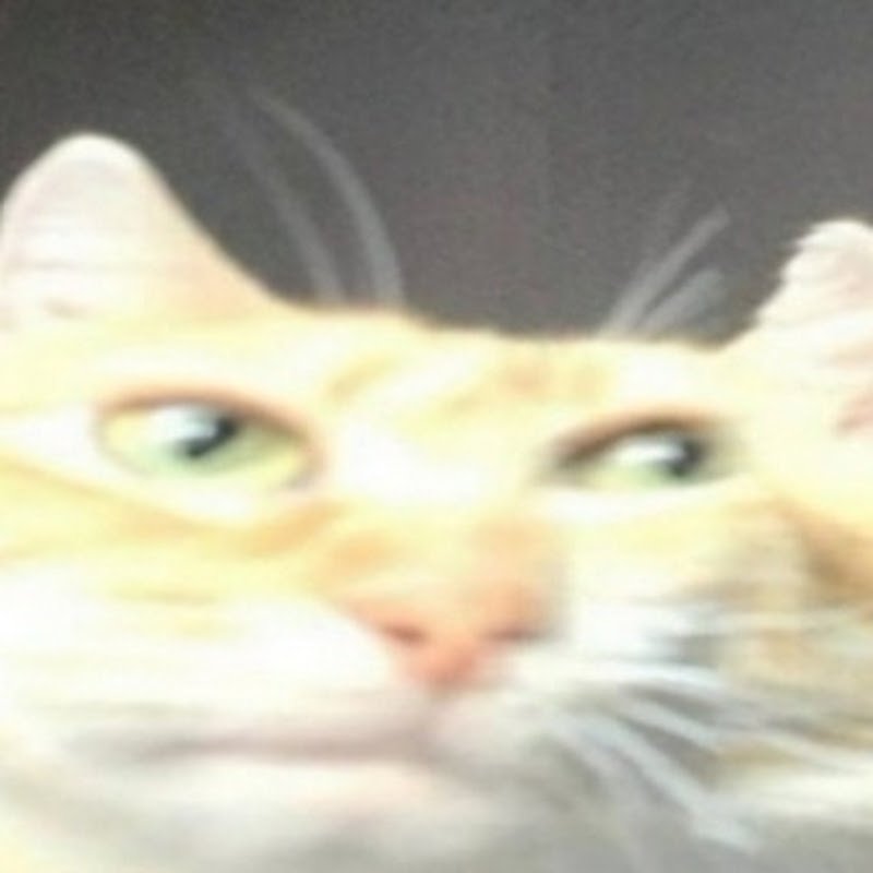 А че всмысле Мем