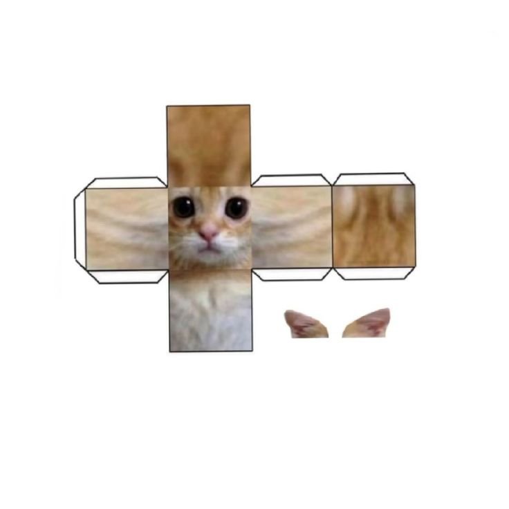 Квадратные коты из бумаги