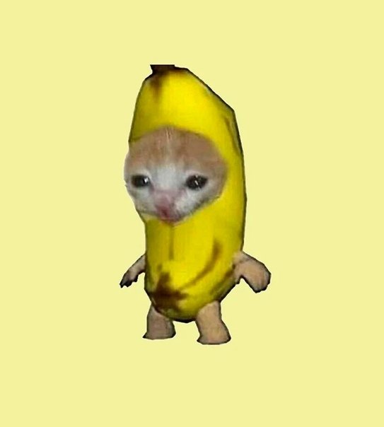 Плачущий кот банан