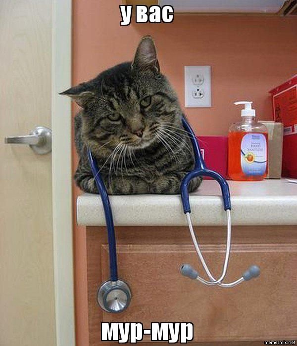 Кот врач Мем