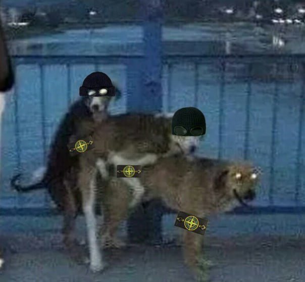 Обезьяна офник