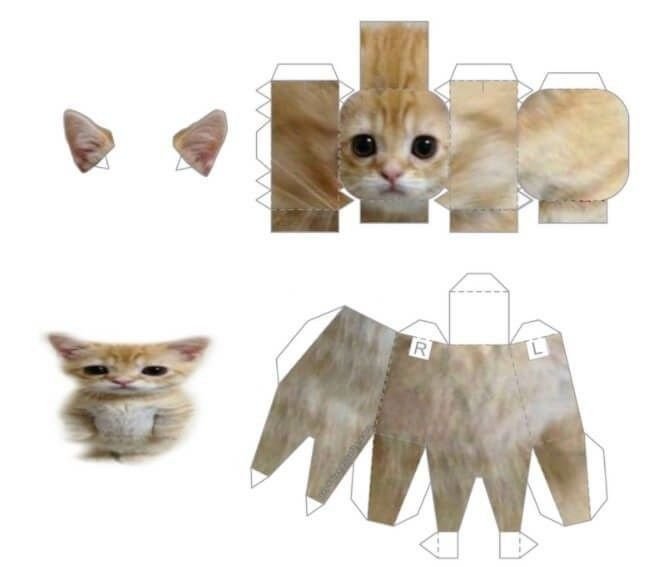 Макет котика