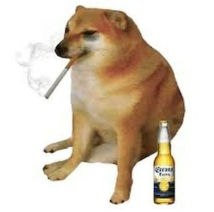 Мабака с мема сюутылкой