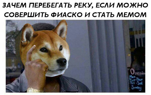 Сиба ину это фиаско братан