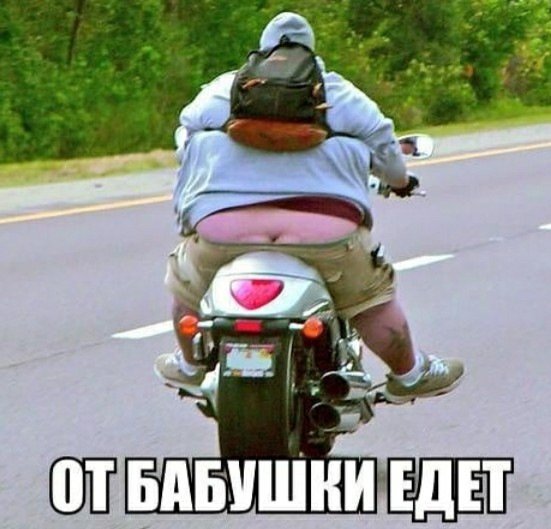 Жирный мужик на скутере