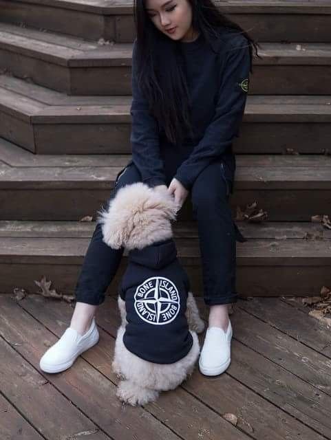 Собака в Stone Island