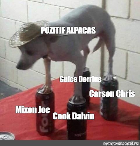 Собака стоит на банках Мем