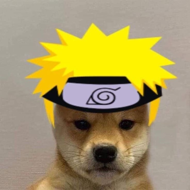 Собака Наруто