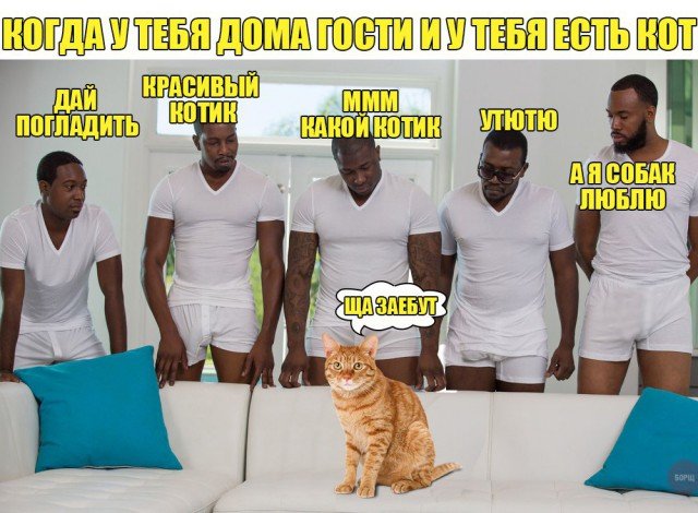 Белый диван и 5 негров