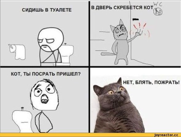 Смешные мемы