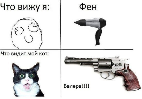 Ржачные мемы с котами