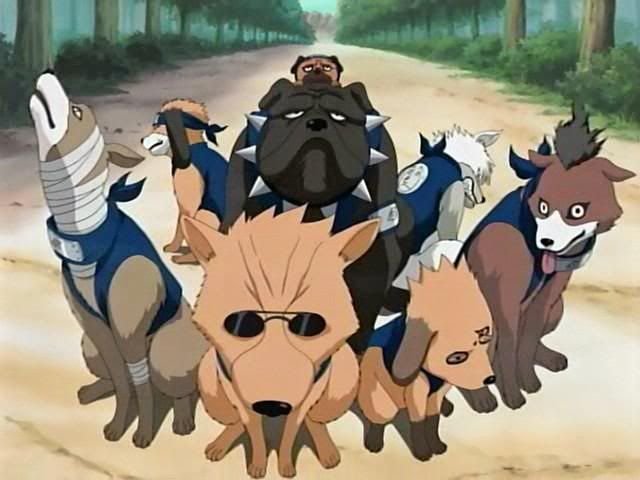 Собака Какаши из Наруто