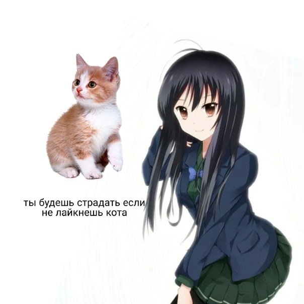 Лайкни кота Мем