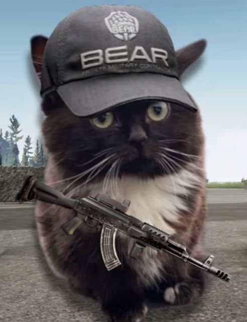 Кот с калашом