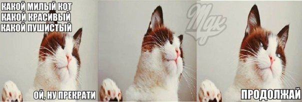Ой ну перестань продолжай Мем