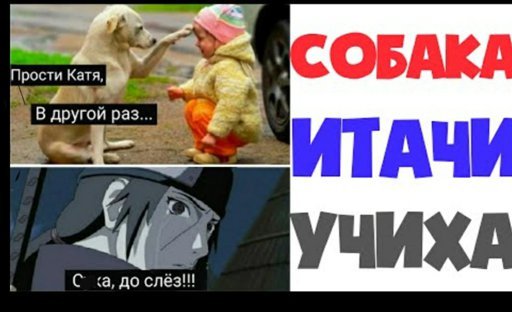 Собака Итачи