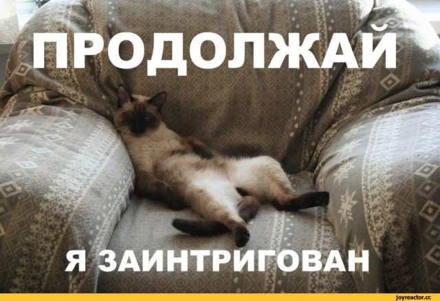 Продолжай я заинтригован кот