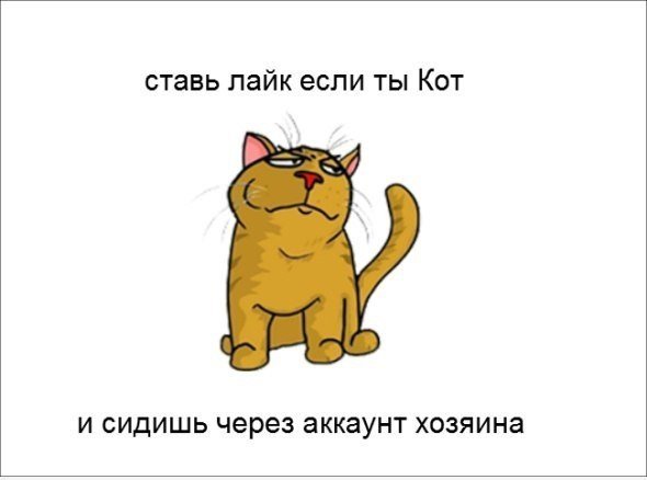 Поставь лайк котик