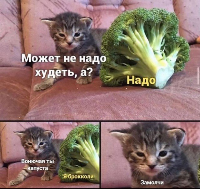 Ешкин кот