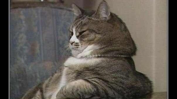 Продолжай я заинтригован