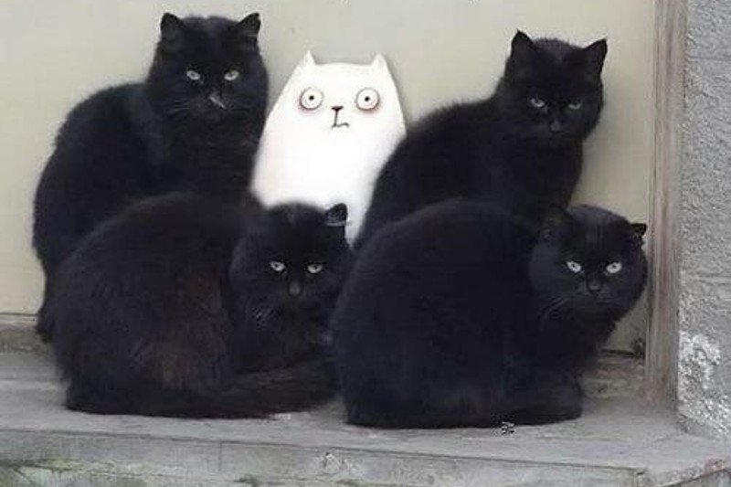 Она нэ танцует