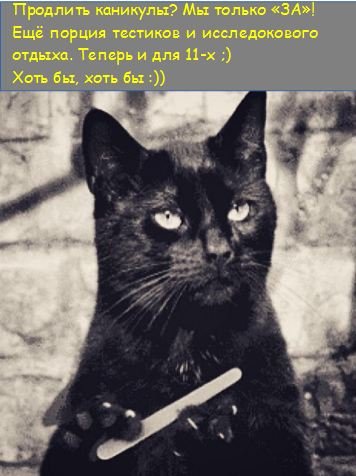 Пятница 13 кот