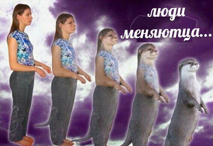 Дети превращаются в животных