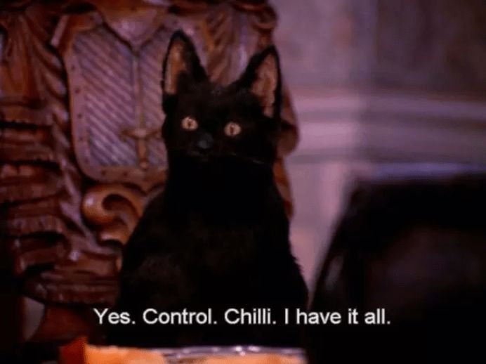 Кот из Сабрина маленькая ведьма