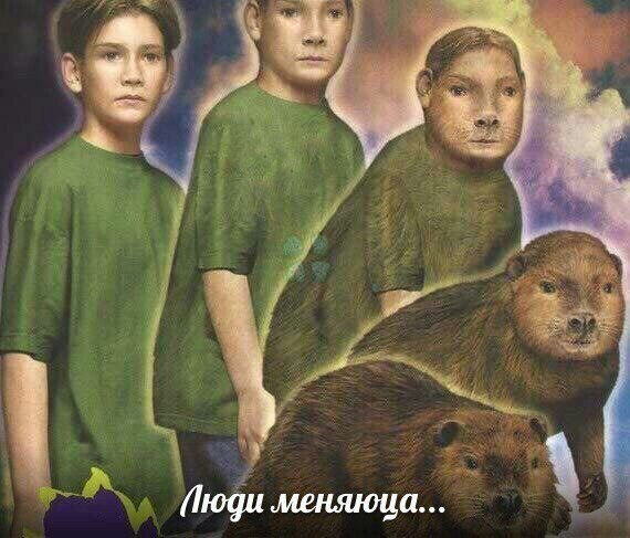 Люди меняются Мем бобер