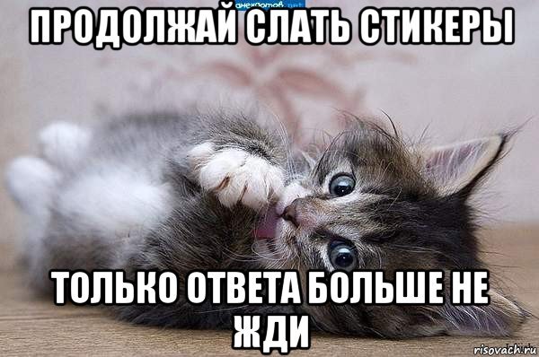 Спокойной ночи Володя