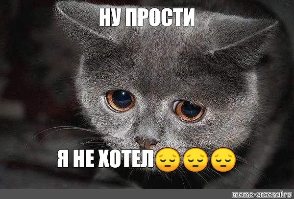 Пикча прости меня