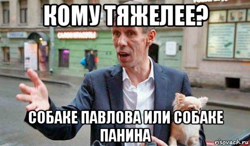 Панин с собакой мемы
