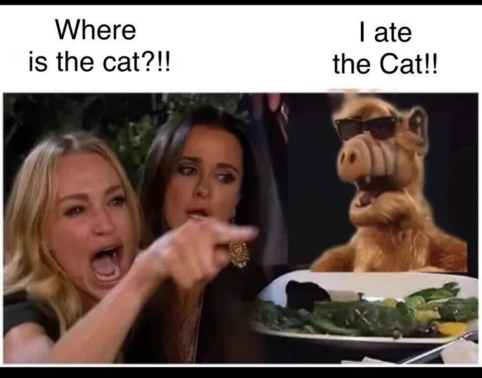 Мемы с котом и девушками