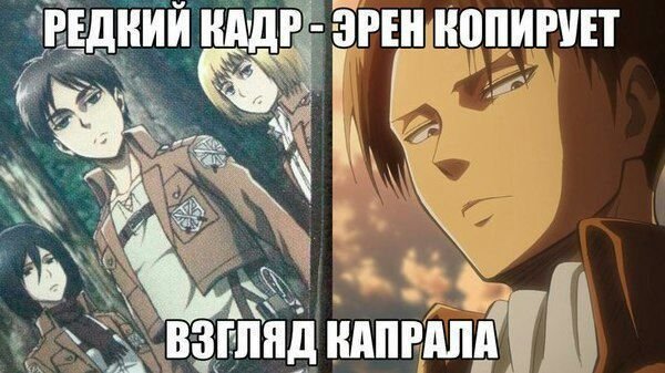 Атака титанов мемы с Леви