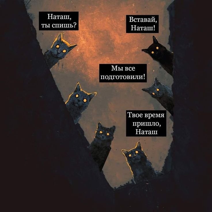 Наташа Восстань коты