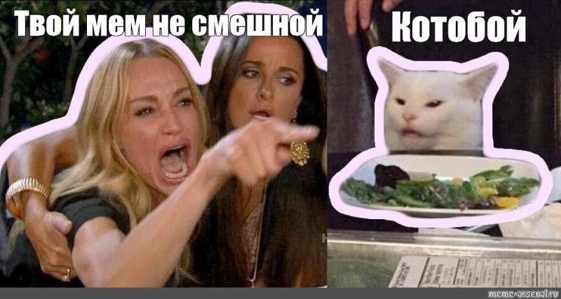 Кот из мема с тётками