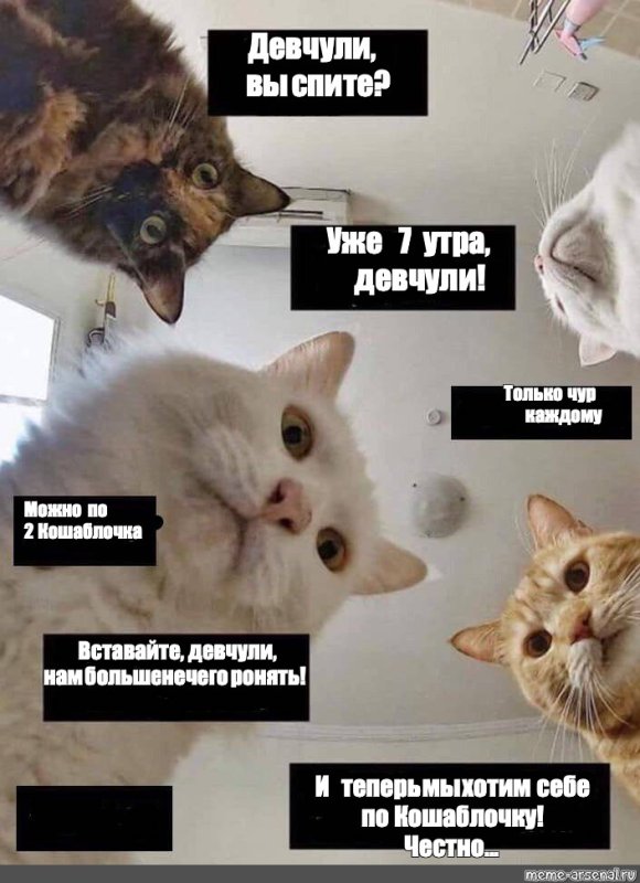 Наташа мы все уронили сервер