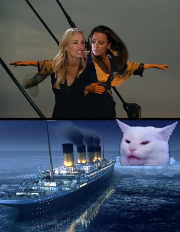 Титаник с котом