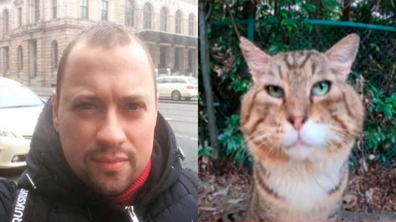 Кот носок Мем