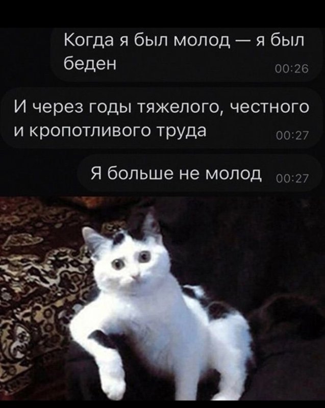 Мемы июня 2023