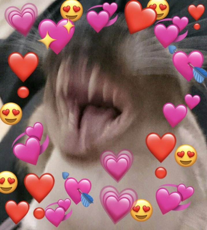 Милые сердечки