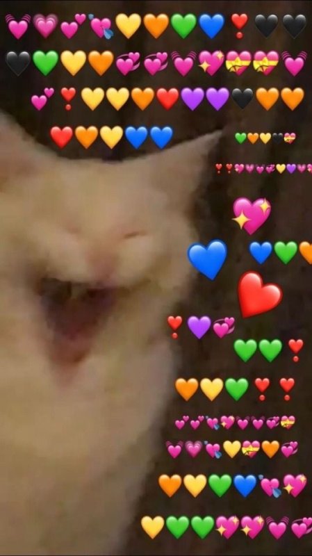 Котик с сердечком