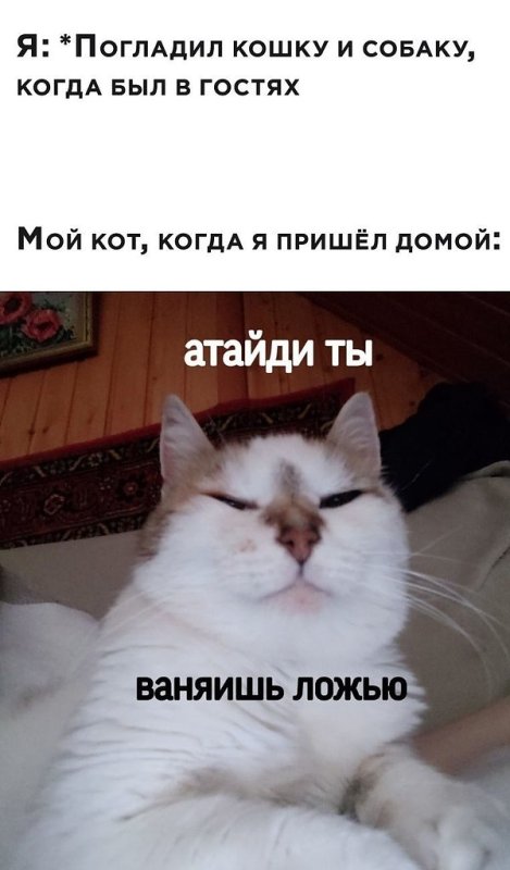 Прикольные картинки